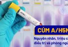               Bài truyền thông về các biện pháp phòng, chống Cúm A/H5N1